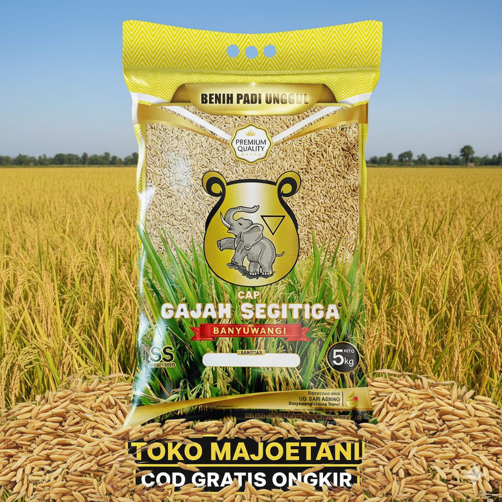 Benih padi inpari 32 HDB GAJAH SEGITIGA bobot super manteb 5Kg