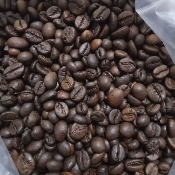 ROASTBEAN ROBUSTA 1 KG || PREMIUM KOPI LERENG BROMO