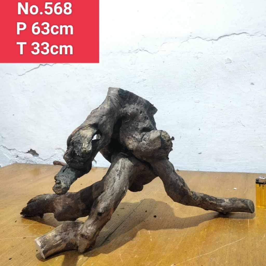 bonggolan akar santigi laut akar hiasan aquascape aquarium 568