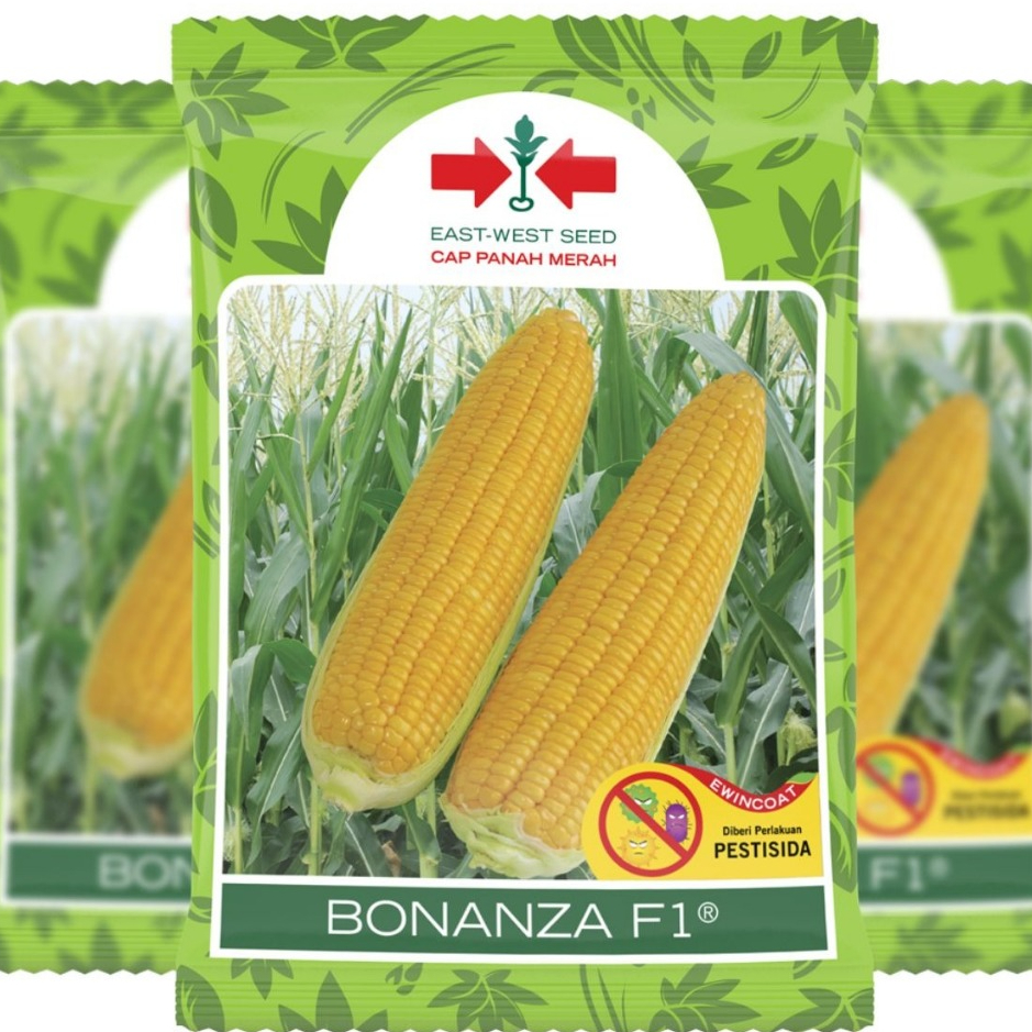 Bibit Jagung Bonanza F1 Manis 1.800 Butir
