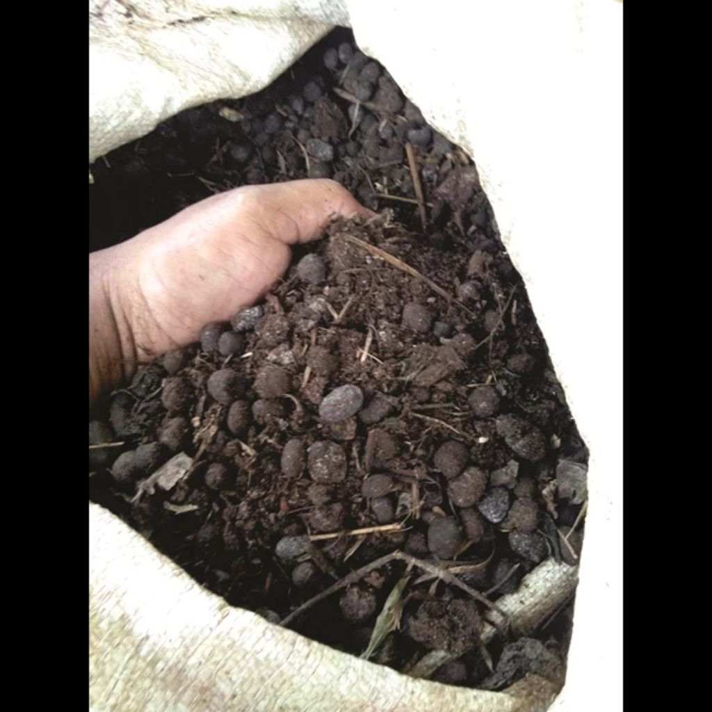 pupuk kandang kohe kambing ukuran karung 20kg