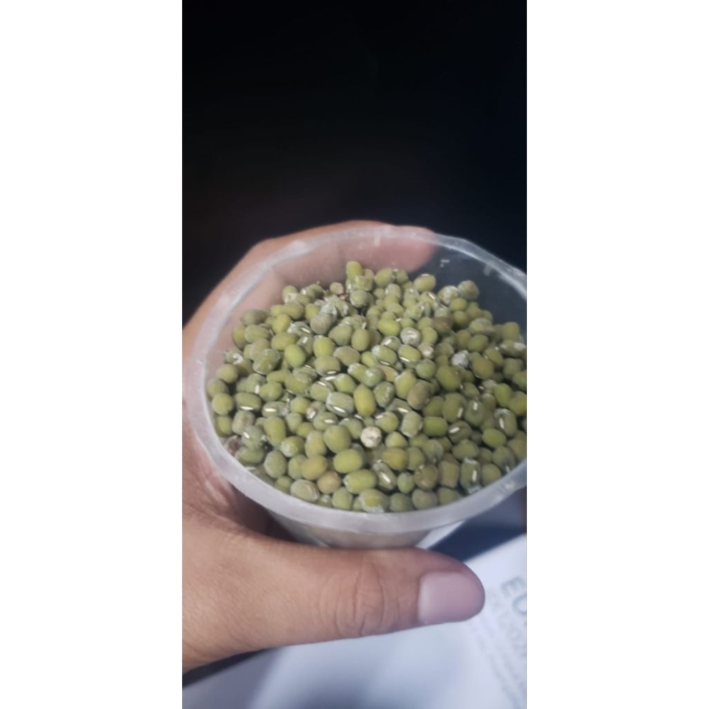 Kacang hijau lokal ( 1kg )
