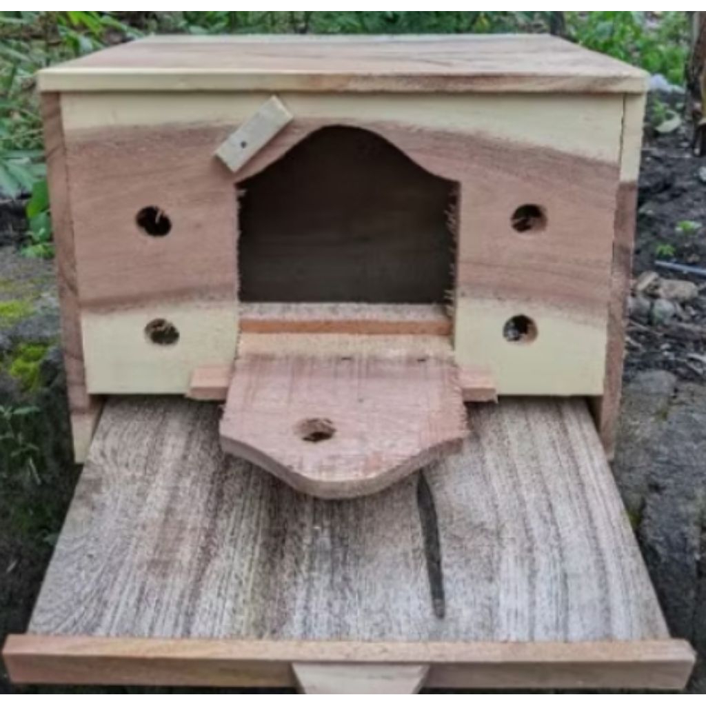 Bekupon kandang merpati giring,burung dara sekap