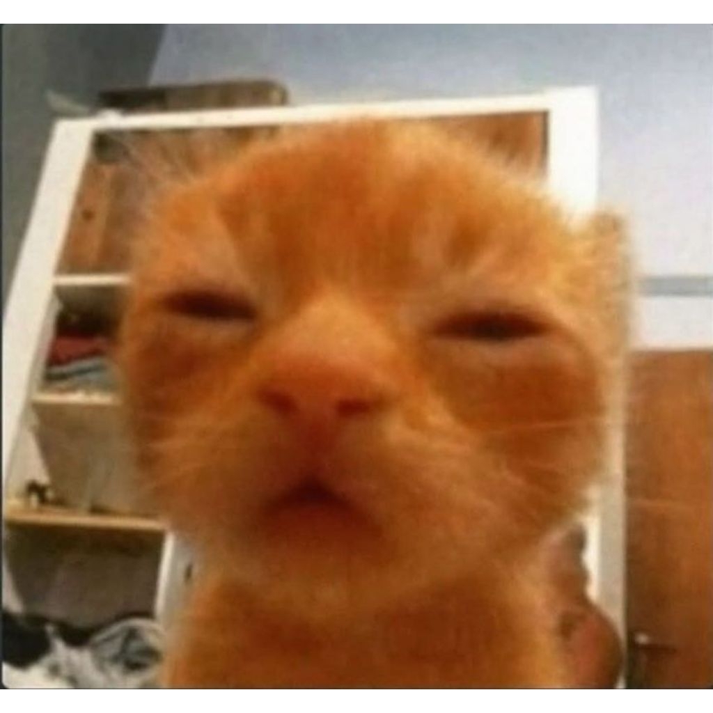 Squishy Marmo Crepe Pink Ibloom