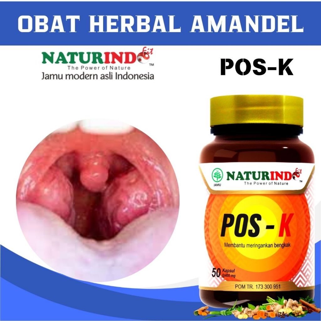 Naturindo Pos K Obat Amandel Paling Ampuh Obat Amandel Bengkak Obat Amandel Anak Obat Amandel Untuk 