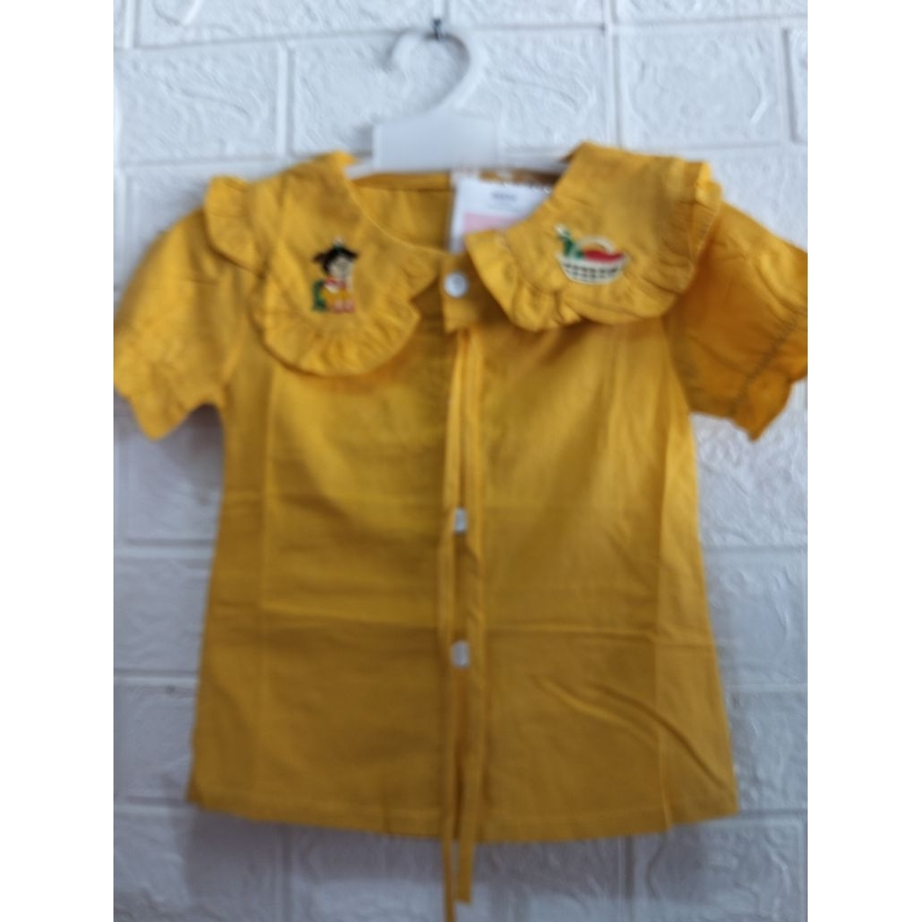 baju kemeja anak perempuan import