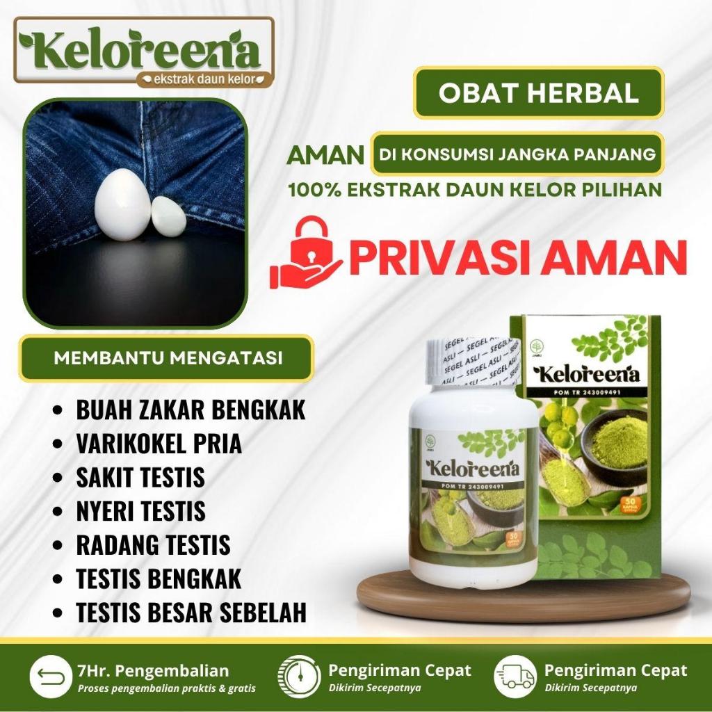 Obat Buah Zakar Bengkak Sebelah Kanan, Varikokel Testis, Buah Zakar Turun, Herbal Varikokel, Hernia 