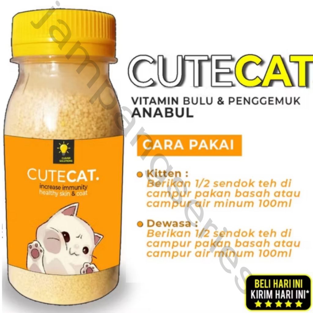 cute cat vitamin bulu dan penggemukCUTE CAT, Vitamin Penggemuk dan Bulu Kucing, Penumbuh Bulu Kucing