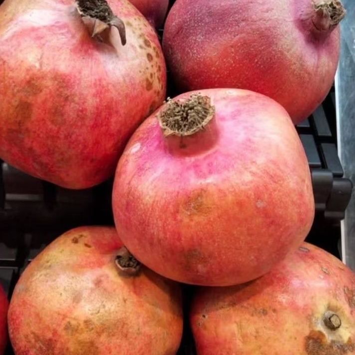 Buah Delima Merah / Pomegranate Mesir Fresh