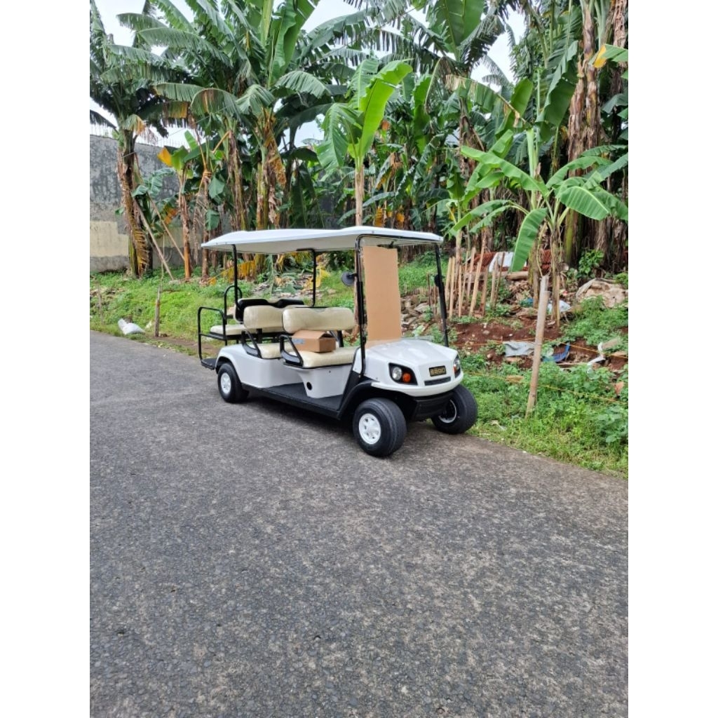 Golf Car /Buggy Car Cushman 4+2seat
