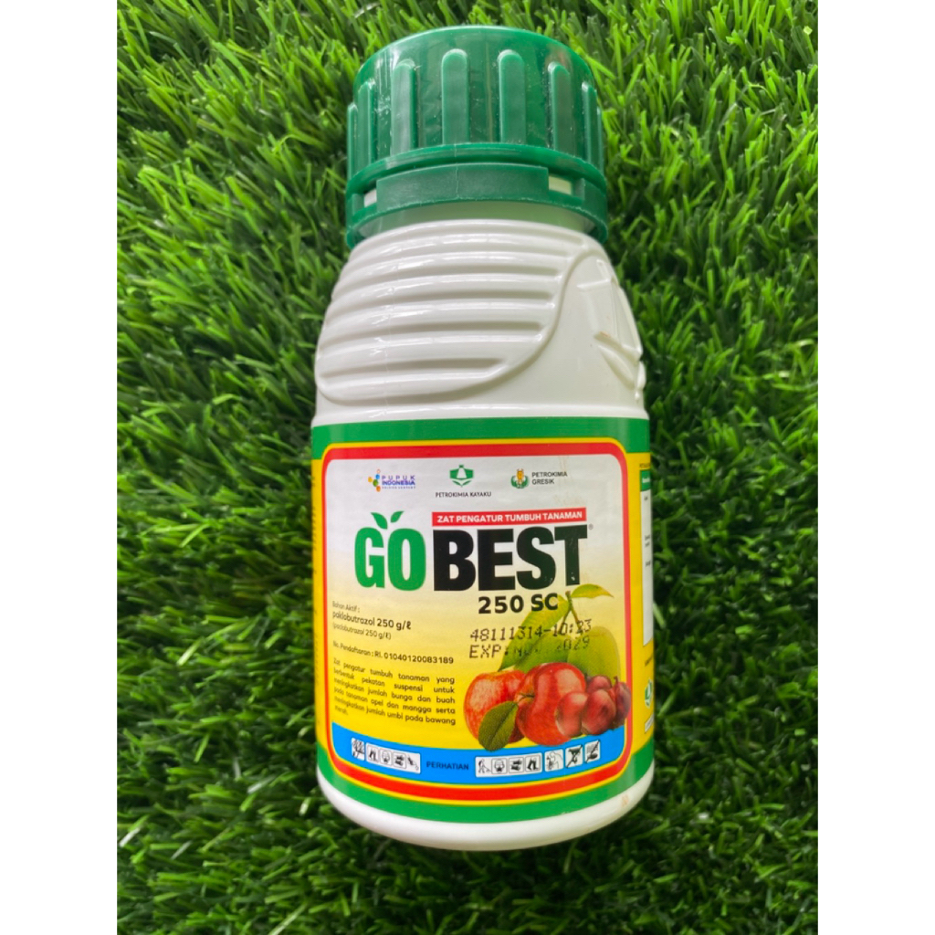 ZPT GOBEST 250ac 250ml - pupuk zpt perangsang pembuahan berkualitas original maju jaya