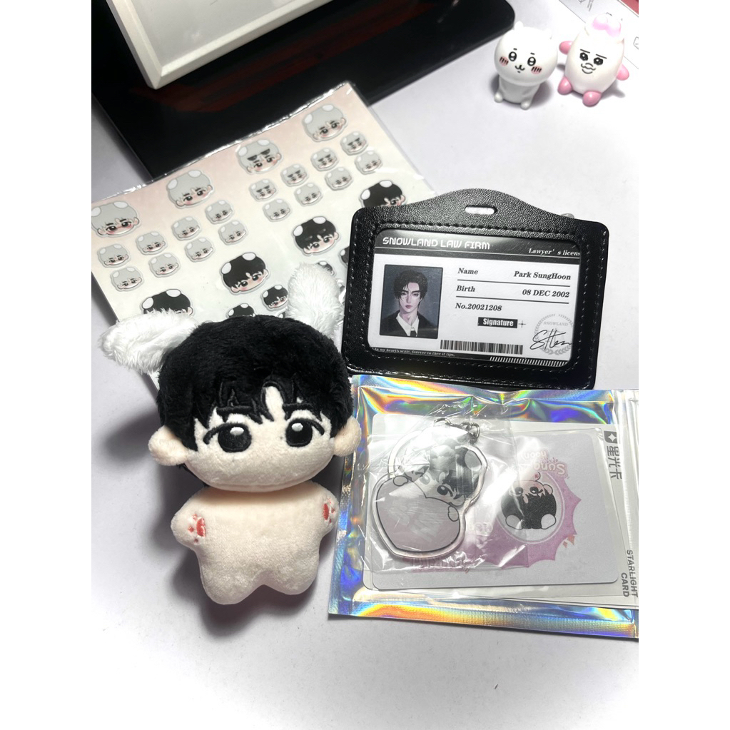 doll puppysung sunghoon enhypen