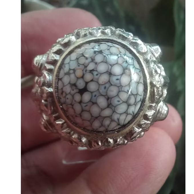 Batu Sisik Ular Jipen