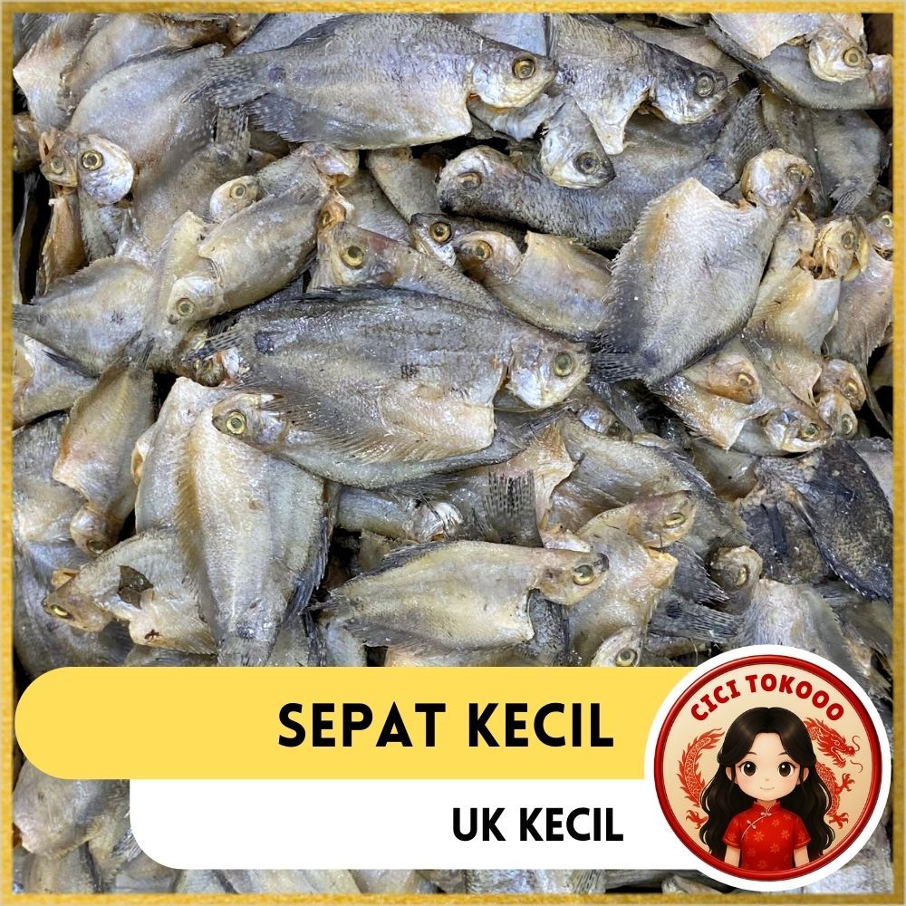 Sepat Kecil | Sepat Rawa Super | Ikan Sepat | Ikan Asin