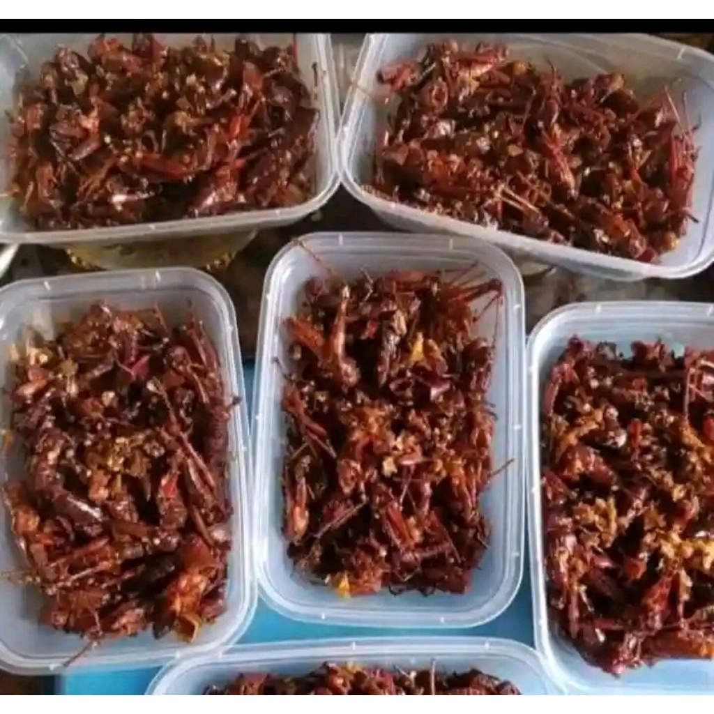 BELALANG GORENG,belalang,walang,simeut