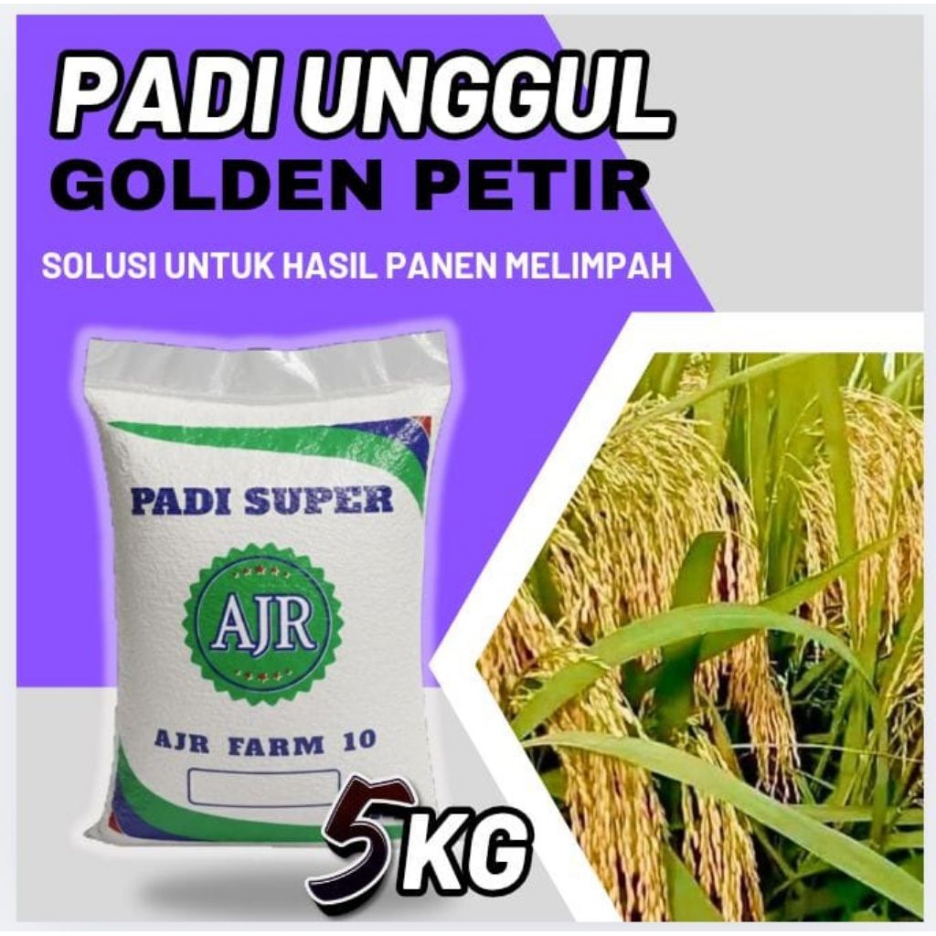 Benih padi unggul GOLDEN PETIR (5KG)