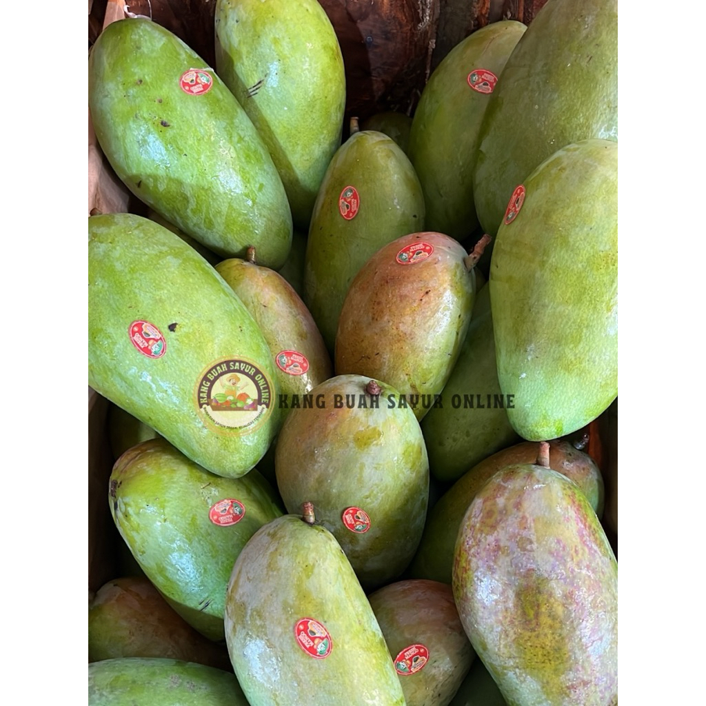 Mangga kiojay mengkal rujak / 1kg