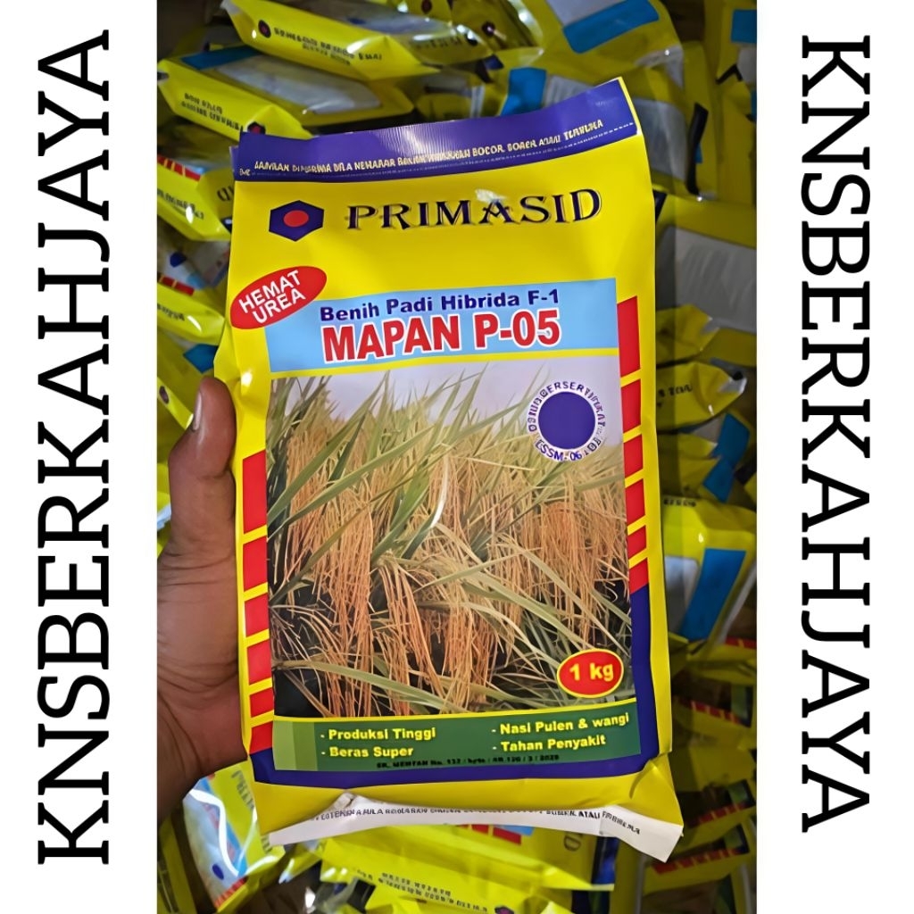 BIBIT BENIH PADI HIBRIDA F-1 MAPAN P-05 EXP.04-05-26 KEMASAN 2KG