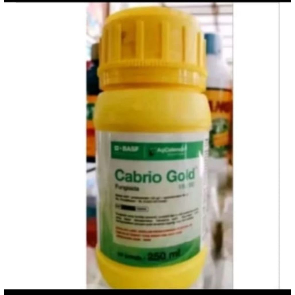 CABRIO GOLD 183 SE 250 ML