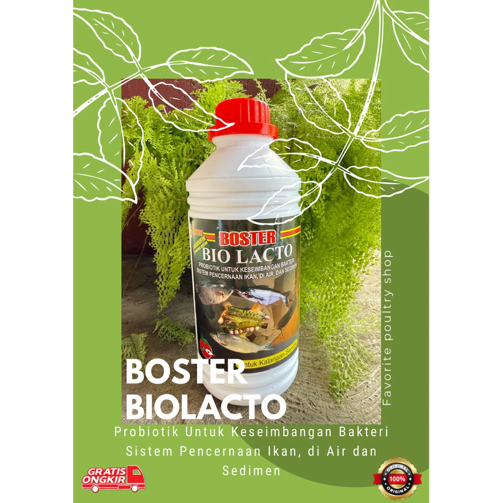 BOSTER BIOLACTO 1L, BIOLACTO lactobacillus BOSTER