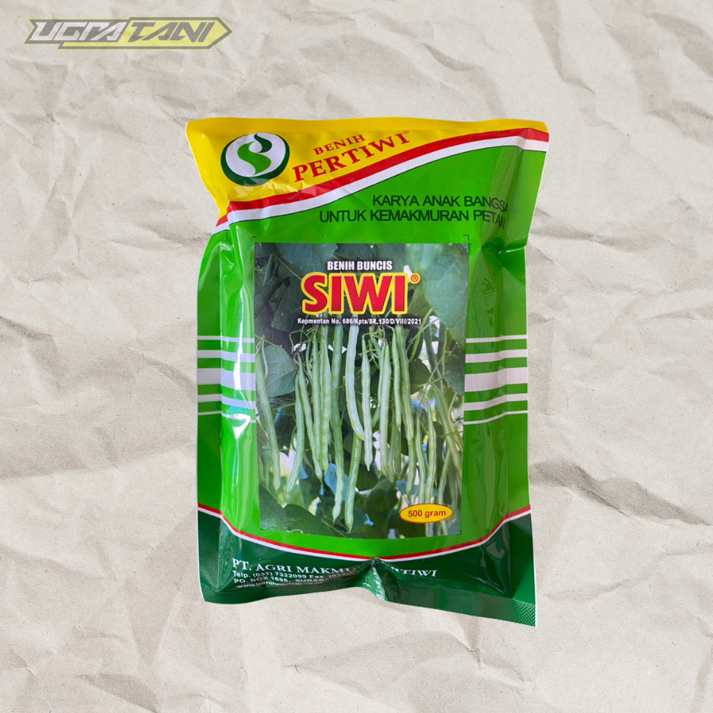 Benih Bibit Buncis Siwi 500 gram