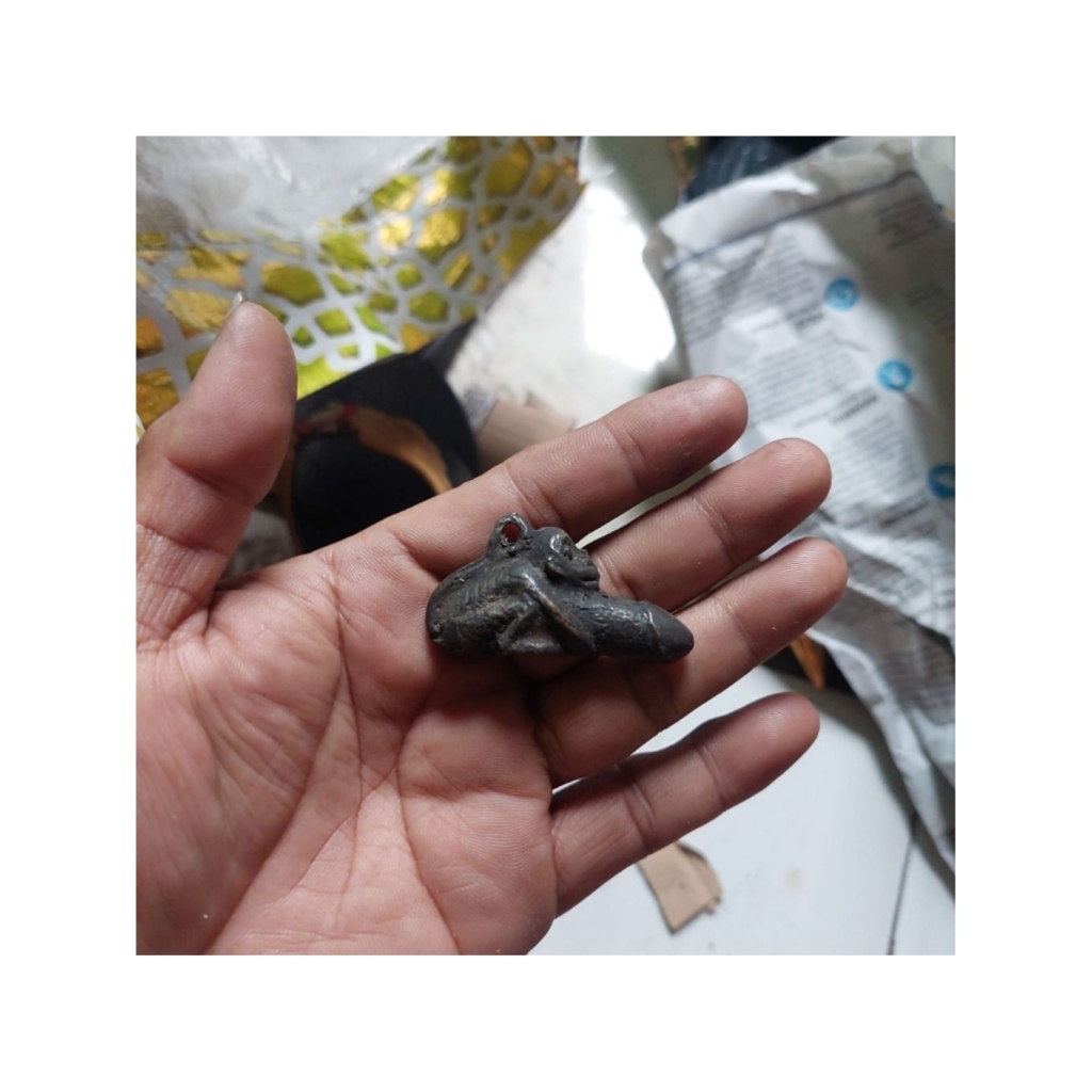 sarutomo ketek markong, sarutomo monkey markong