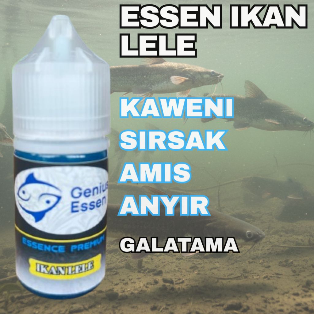 ESSEN IKAN LELE VARIAN KAWENI SIRSAK essen ikan lele harian essen ikan lele lomba essen ikan lele ga