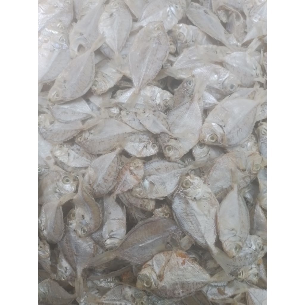 IKAN ASIN PIRIK/PETEK KECIL