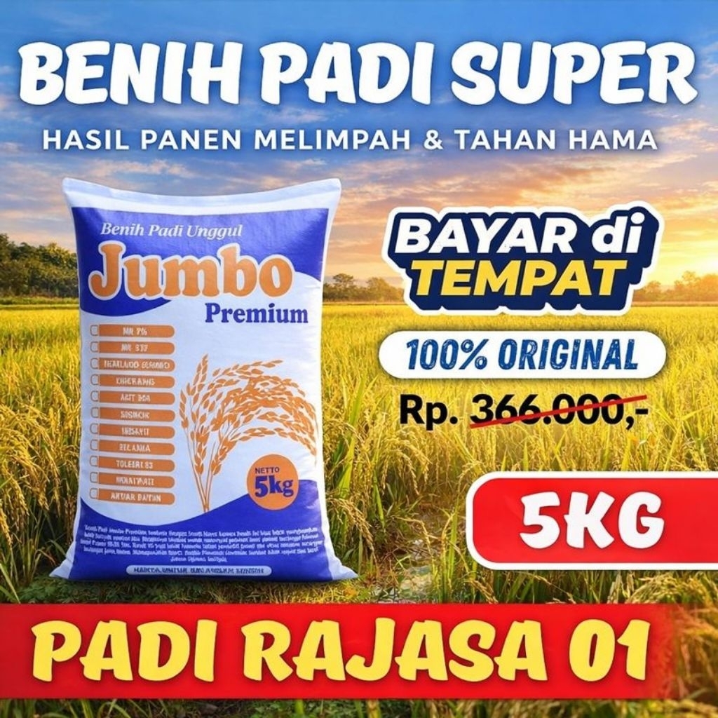 Benih padi Rajasa 01 original 5kg premium