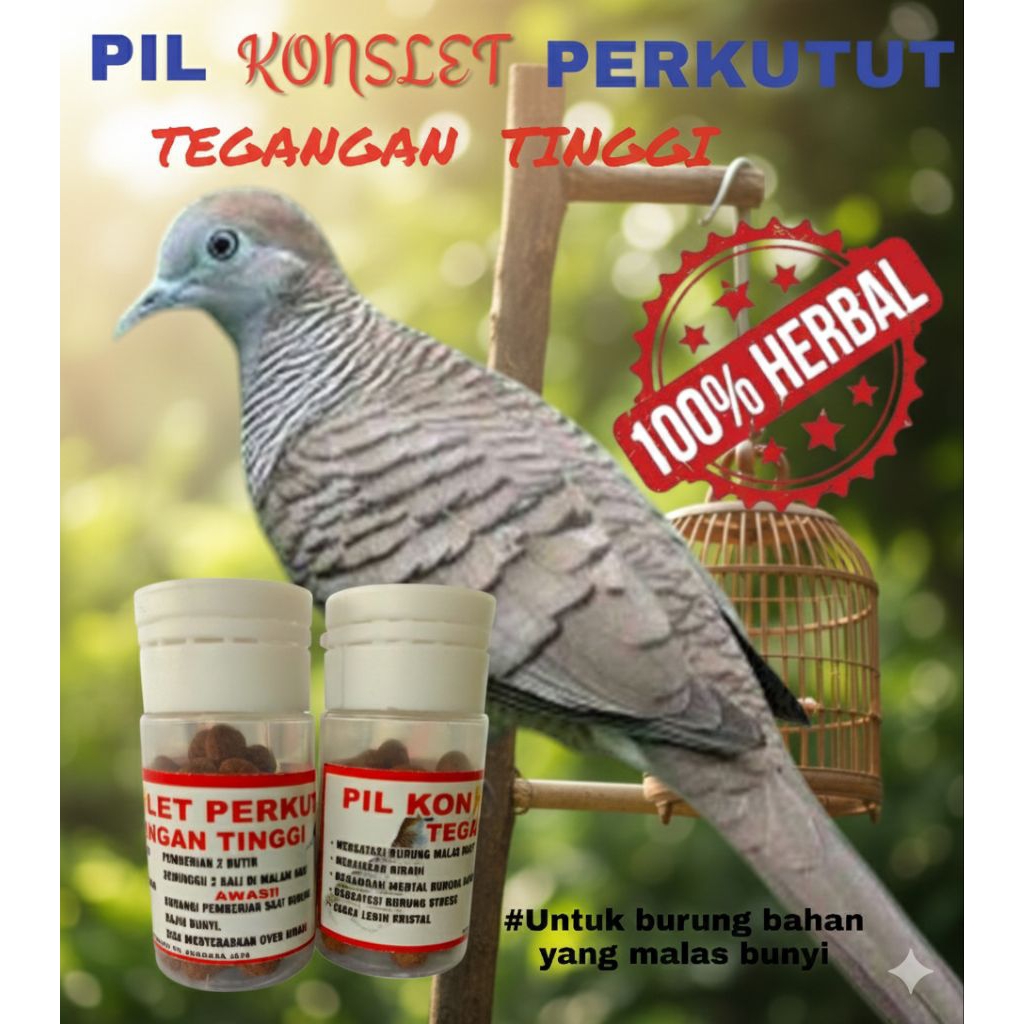 PIL JAMU KONSLET PERKUTUT TEGANGAN TINGGI DOPING BURUNG PERKUTUT MULTIVITAMIN