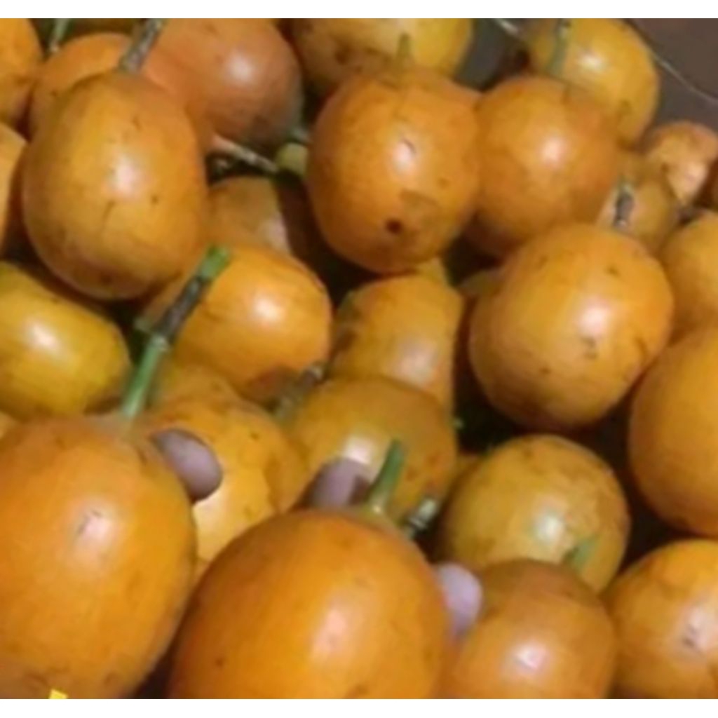 buah konyal markisa manis segar matang dari pohon