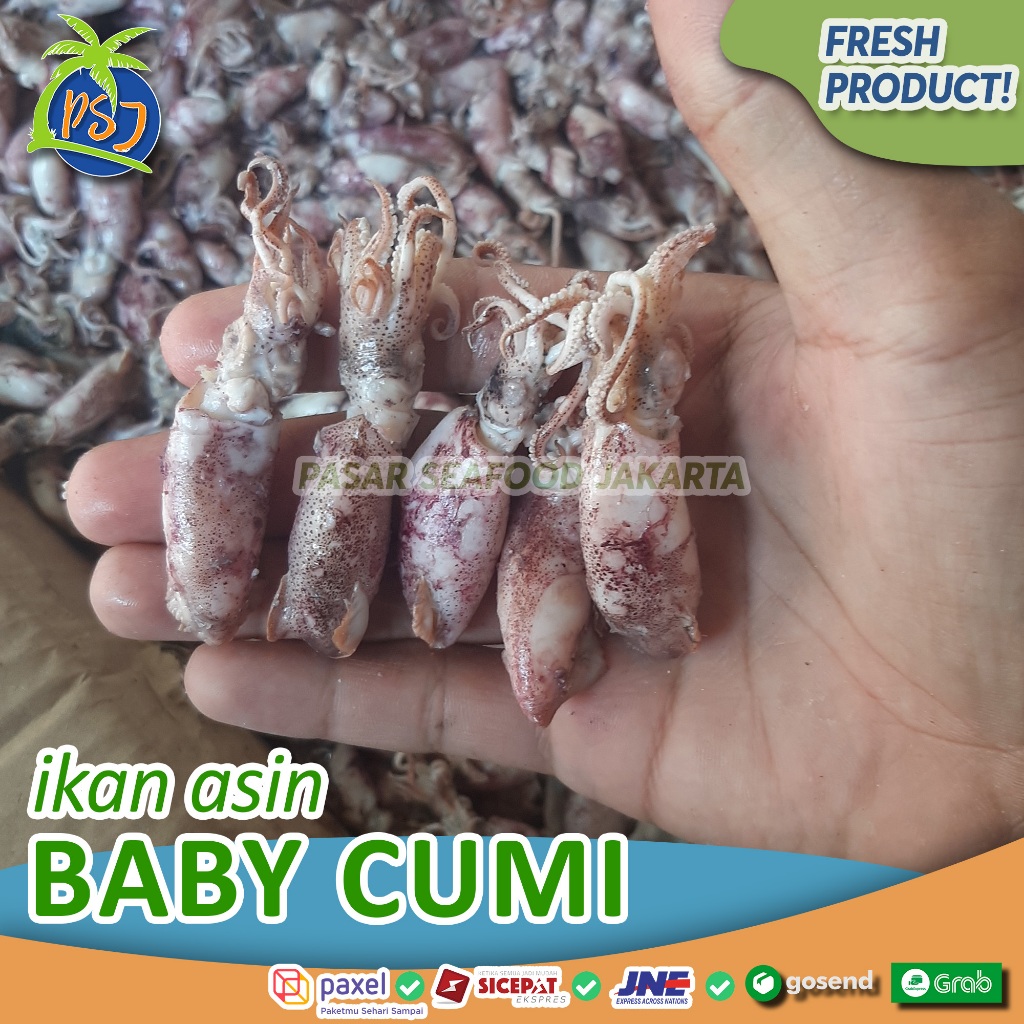 Baby cumi asin kecil | Baby cumi asin segar mentah 500 gr dan 1kilogram | Baby cumi asin sambal cumi