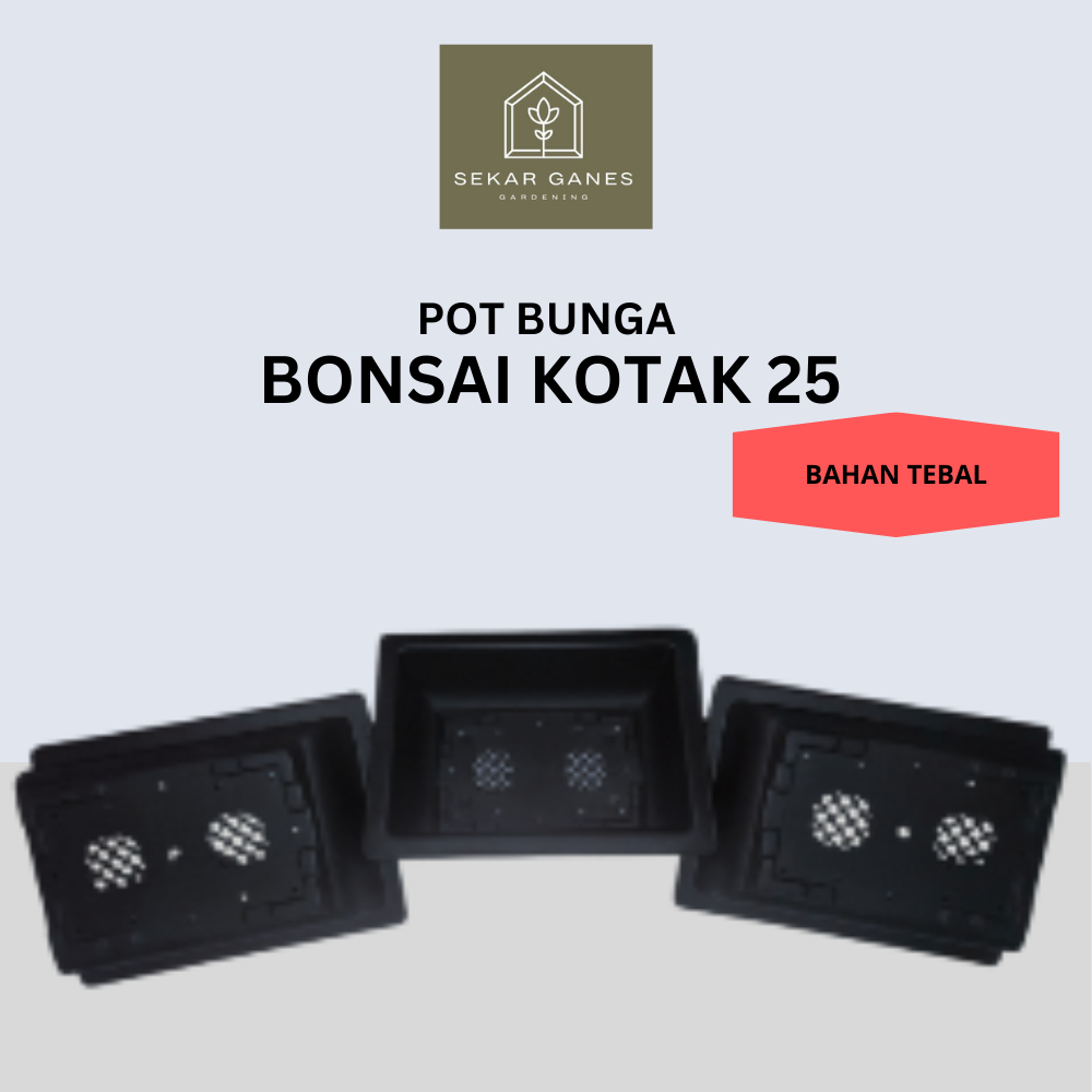 SG Pot Bonsai Kotak 25 Hitam Pot Plastik Persegi Panjang NKT Pot Bunga Tanaman Bonsai 20 Putih Shalo
