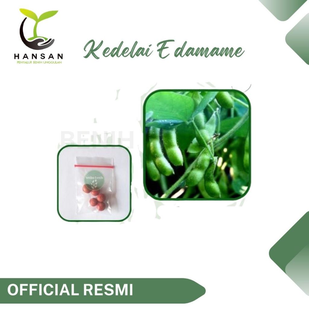 5 Benih Kedelai Edamame Super Bibit Sayuran Ryoko 75 Kacang Jepang