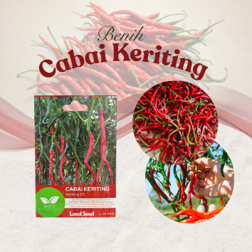 Benih Cabe Keriting/Benih Cabe Keriting Merah/Benih Cabe Keriting CK