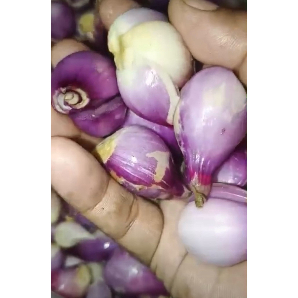 BAWANG MERAH KUPAS 1KG