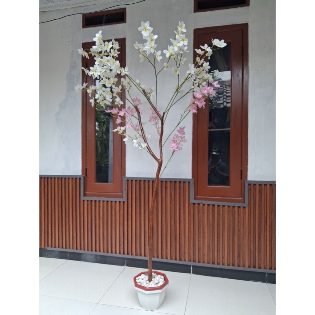 Pohon Artificial Bunga Kamboja Tinggi 2 Meter