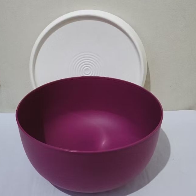 blossom bowl tupperware