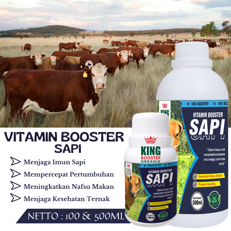 VITAMIN BOOSTER Sapi, Vitamin Ternak Organik Penggemuk Sapi Meningkatkan Nafsu Makan Sapi 100ml