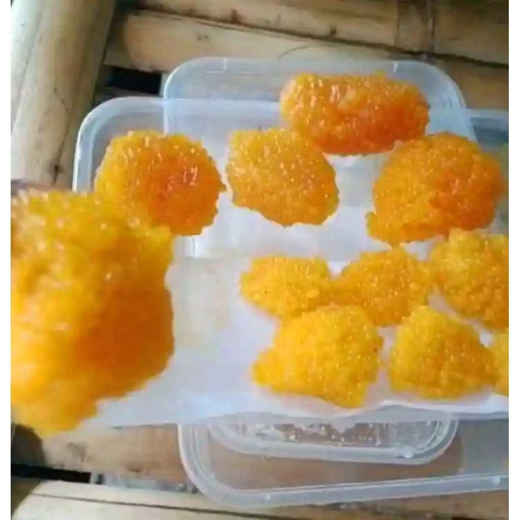 TELOR IKAN SAPU SAPU