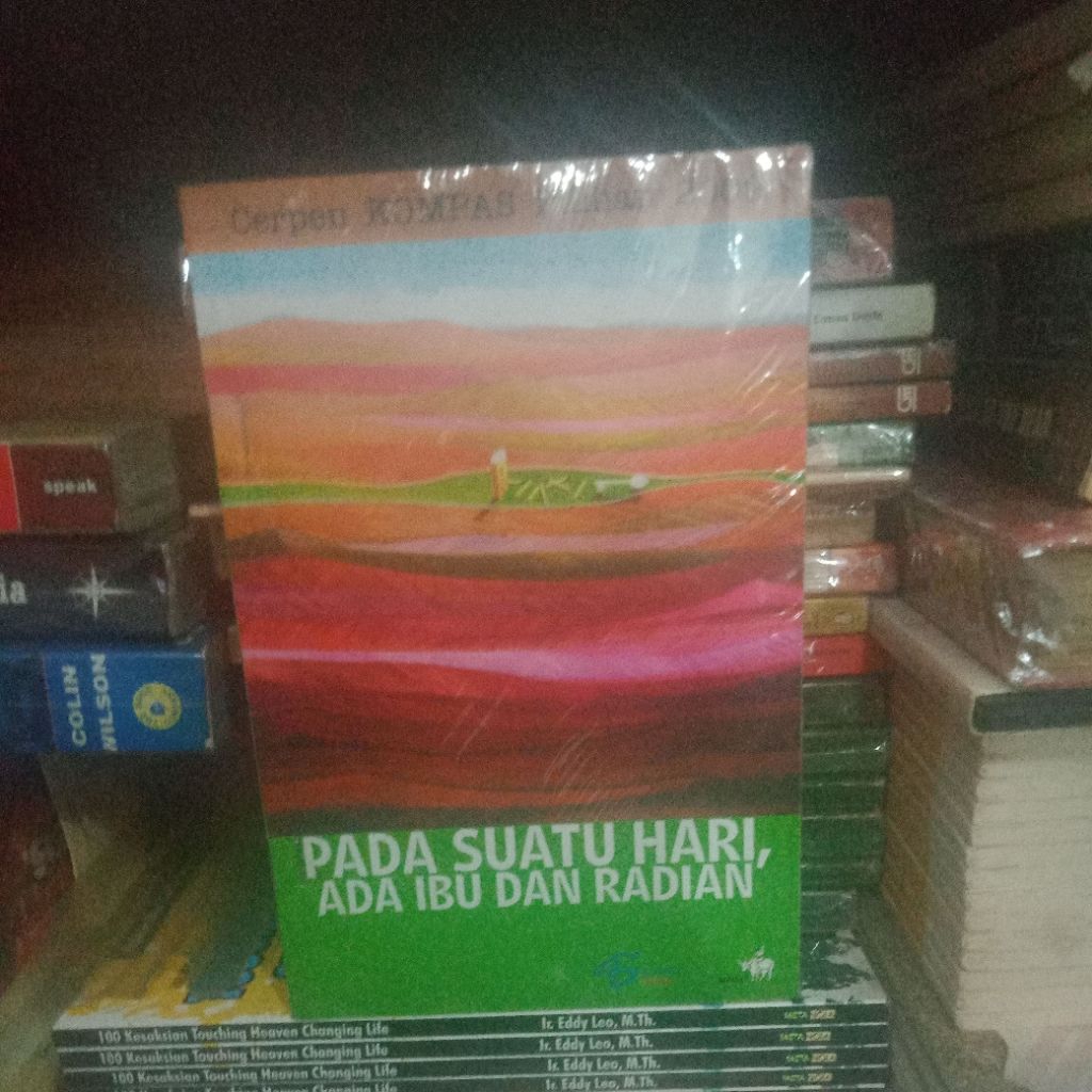 pada suatu hari ada ibu dan radian