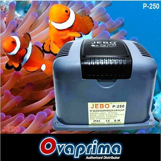 Jebo P-250 Pompa Udara Aerator Hi-Flow Air Pump Blower P250