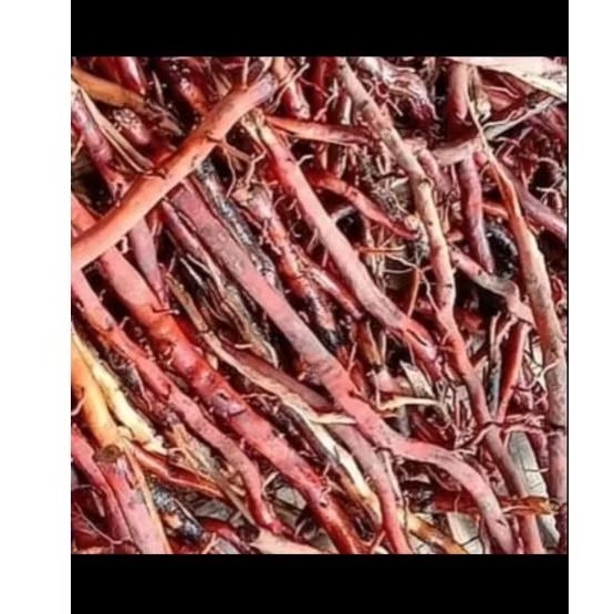 Herbal akar pohon kelapa 1kg