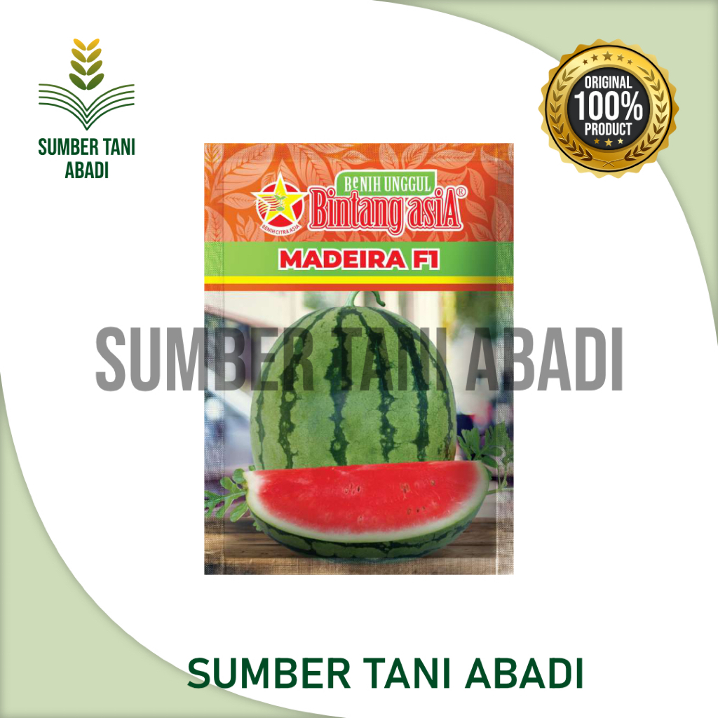 BENIH SEMANGKA UNGGUL MADEIRA F1 - BENIH SEMANGKA - 20GR - BINTANG ASIA