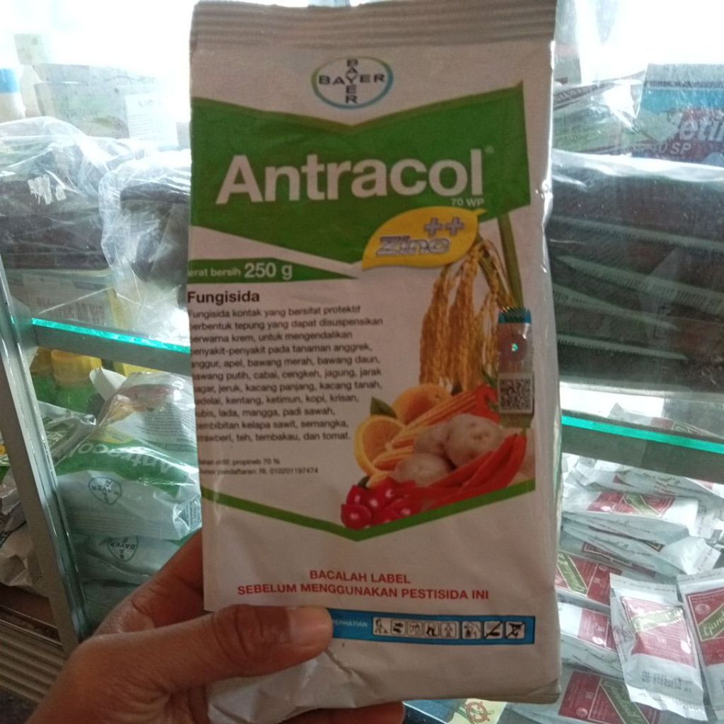 Fungisida Antracol 250Gr