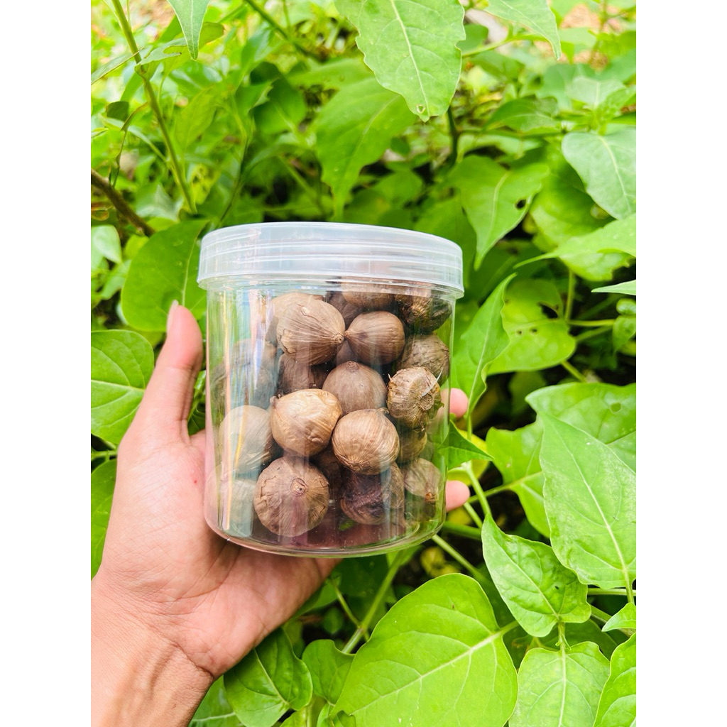 Black Garlic Solo Bawang Hitam Tunggal Premium 250GRAM - Bawang Hitam Lanang