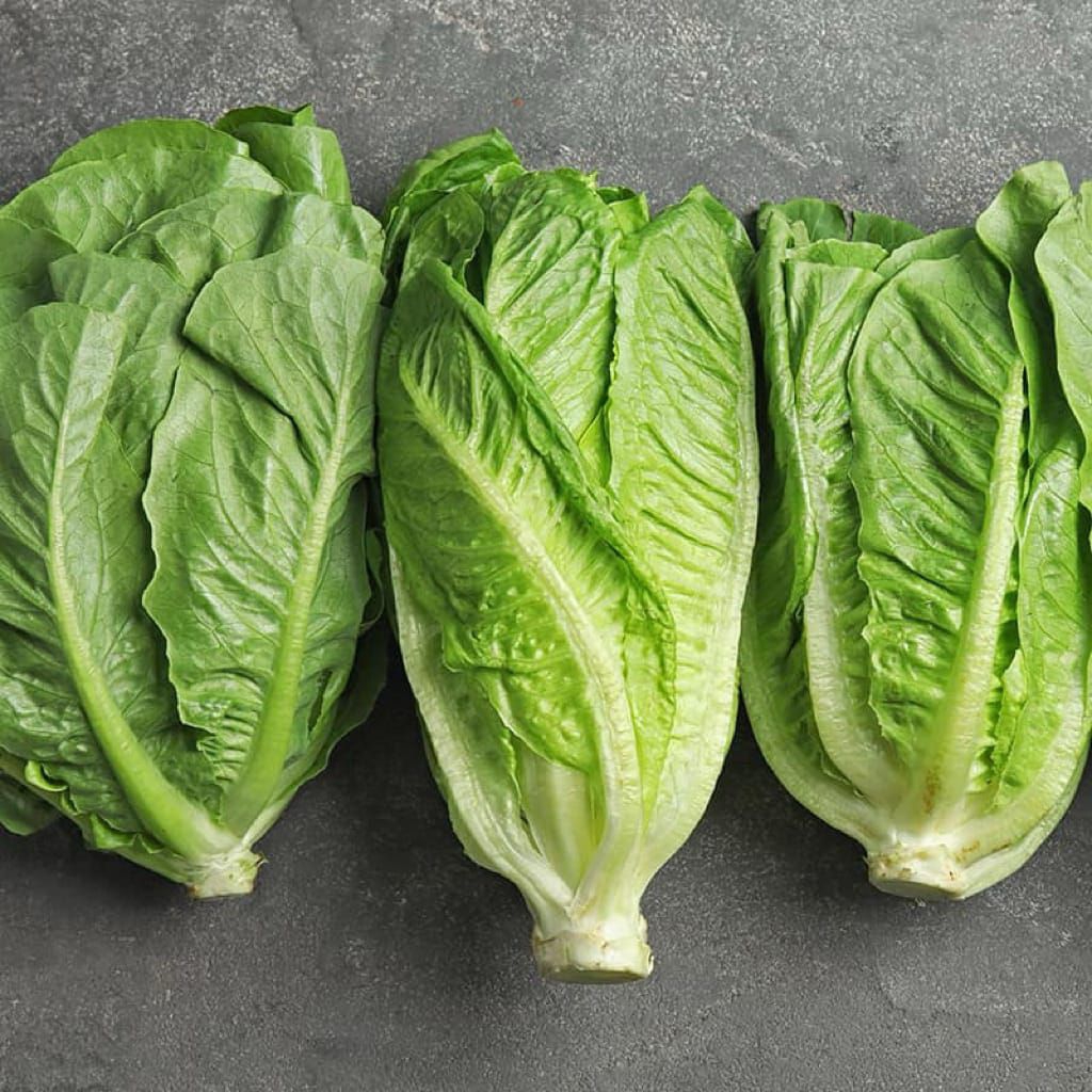 Romaine Lettuce 1kg