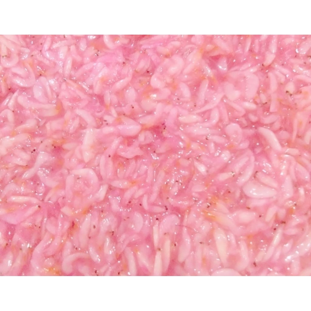 Pedak Udang/Kencalok/Hakoi/Hekoi Khas Singkawang 1kg