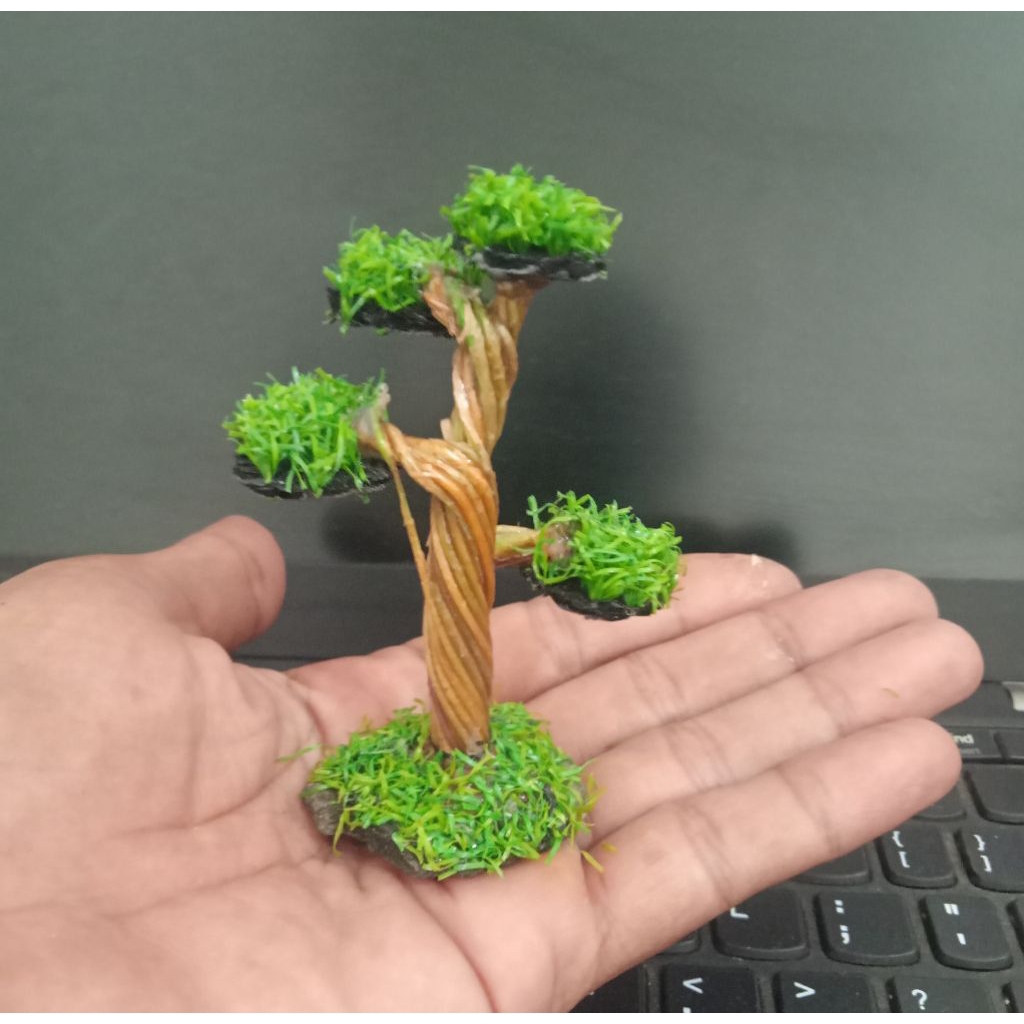 Pohon Bonsai Aquascape