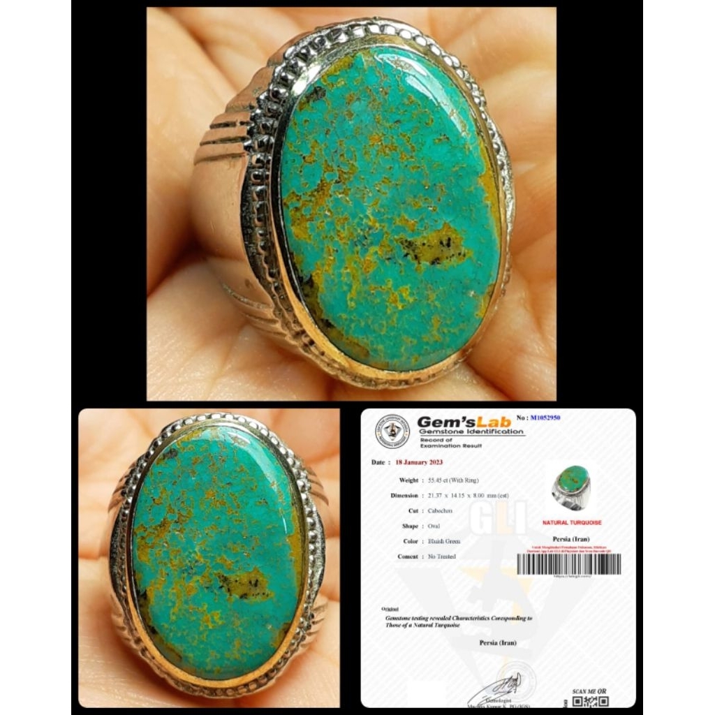 pirus ijo daun persia asli serat emas